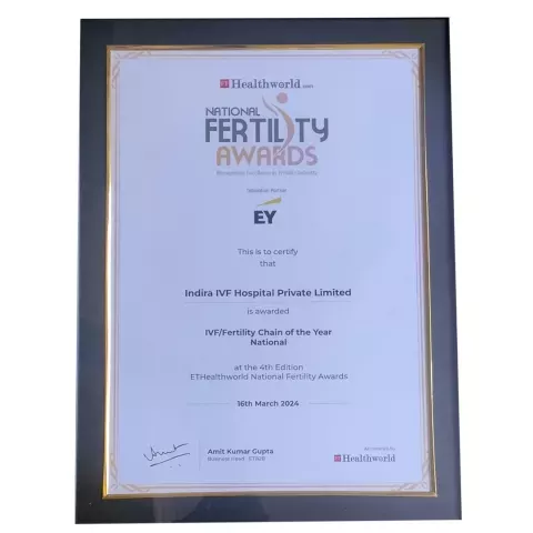 IVF/Fertility Chain of the Year