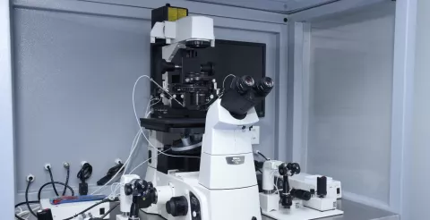 Indira IVF  Clinics images