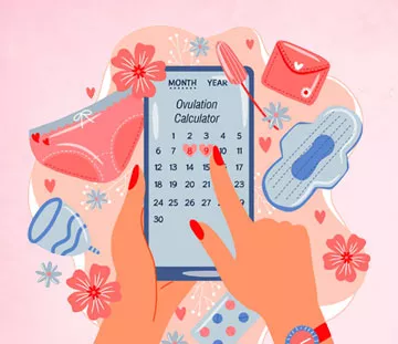 Ovulation Calculator